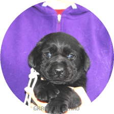 男の子(ブラック母マリー)